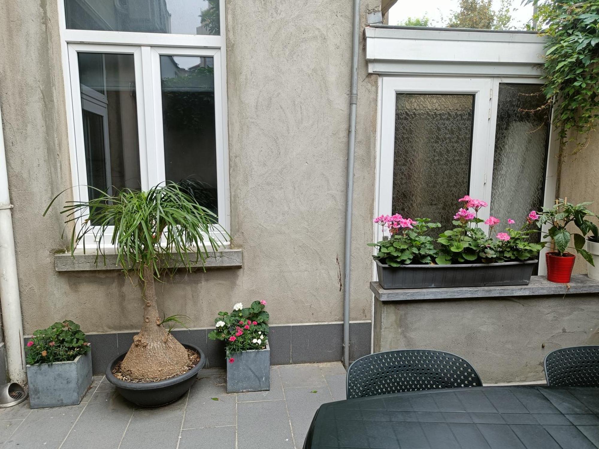 The Brussels-Laken Appartement מראה חיצוני תמונה